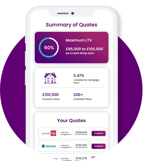 Summary of Equity Release Quotes